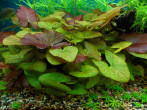 DSCN0324.JPG
