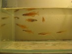 IMG_2968.JPG