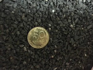 IMG_4383.JPG