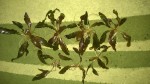 WP_20160704_003.jpg