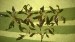 WP_20160704_003.jpg