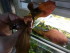 copy_101_20160602_083837-001-2.jpg