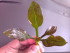 copy_152_copy_793_2016-04-24-15.42.00-001.jpg