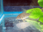 copy_19_IMG_2412-1.gif