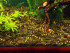 copy_894_copy_194_DSCN0327.jpg