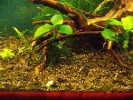 copy_897_copy_530_DSCN0340.jpg