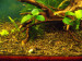 copy_897_copy_530_DSCN0340.jpg