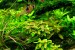 copy_941_IMG_6316_1.jpg