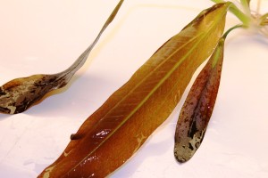 Изображение 3514.jpg