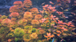 20130417_155758.jpg