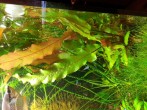 20151020_185943.jpg