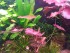 20160807_135221.jpg