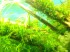 DSCF3408.JPG