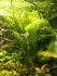 DSCN6502.JPG