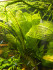 DSCN6503.JPG