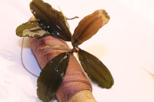 Изображение 3690.jpg