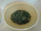 20160905_210214.jpg
