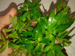 20160905_210831.jpg