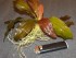 DSC00844.JPG