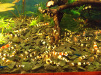DSCN0025.JPG