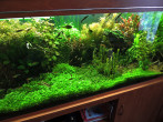 DSCN8852.JPG