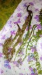 IMG_20160911_185449.jpg