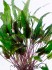 copy_283_copy_694_copy_956_049.jpg