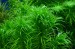 copy_52_copy_425_copy_302_copy_158_copy_446_1-3.jpg