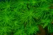 copy_57_copy_966_copy_297_copy_101_1-2.jpg