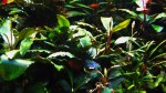 copy_702_copy_367_IMG_4771.jpg