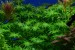 copy_78_copy_681_copy_330_copy_181_DSC_8487.jpg