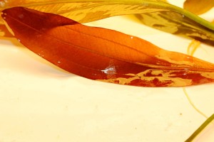 Изображение 3780.jpg