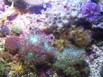 101_0001.JPG