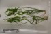 20161004_203824.JPG