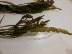 20161008_223444.jpg