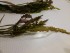 20161008_223444.jpg