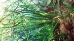 20161012_214532.jpg