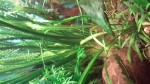 20161012_214610.jpg