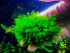 DSCF4189.jpg