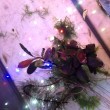 IMG_0232.JPG