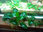 IMG_20161002_184337.jpg