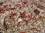 PA020039.JPG