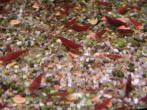 PA020040.JPG