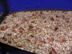 PA020042.JPG