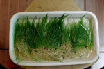 PA270221.JPG