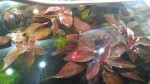 P_20161022_120208.jpg