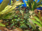 copy_12_copy_157_DSC00823.jpg
