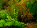 copy_144_copy_982_copy_659_copy_87_P3110031.jpg
