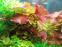 copy_349_copy_369_DSCN0001-1.jpg