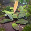 copy_36_Копия-DSC00443.jpg